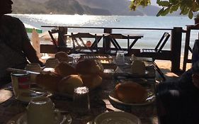 Jambeiro na praia
